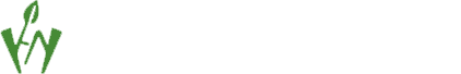 Ningguo He Yisu Wood New Materials Co., Ltd.